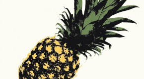 Die Blockflöte des Todes verwöhnt uns mit Ananas, kleinen Ohrwürmern und witzigen Anekdoten